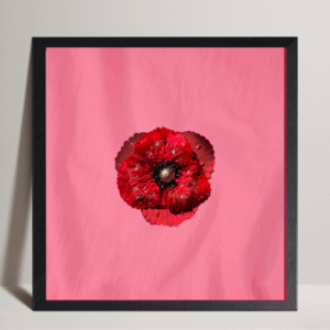Tableau de broderie Lesage fleur coquelicot