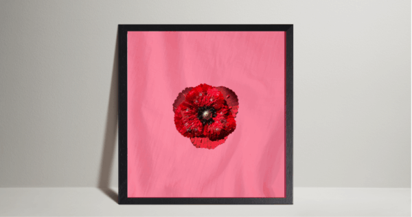 レザージュ刺繍図案 ポピーの花